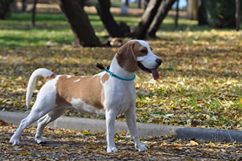 Aiminto ローププロトレーニング犬用カラー、ノープルラウンドマルチンゲールカラー、スリップカラー、スライダブルストップリング付き - 小中大型犬に最適です (Mサイズ 厚み8mm 長さ45cm, ライト ブルー) 中間 画像