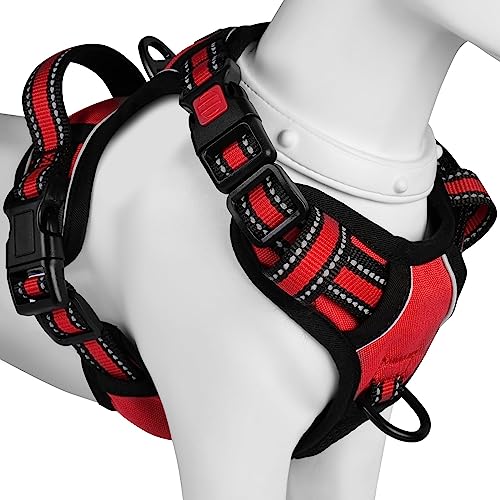 【Amazon.co.jp限定】BaoCheng 犬ハーネス 犬用胴輪 小型犬/中型犬/大型犬ハーネス 犬用胴輪 引っ張り防止 アタマを通さず 咳き込み軽減 サイズ調整可能 夜間反射材 抜けない 通気性 簡単着脱 おしゃれ 安全 しつけ用 訓練 歩行補助 散歩 可愛い(レッド,S) 1