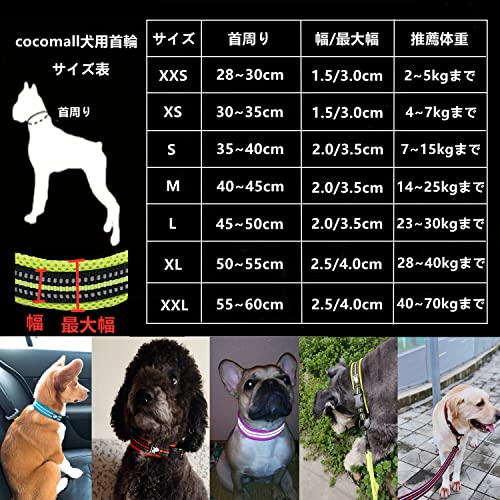 cocomall日本授権店 犬首輪 犬の首輪 犬用訓練首輪 小型、中型、大型犬用首輪 ペット用品 3M反射材料 ナイロン製 通気性 弾力性 ソフト 調節可能 (M, レッド) 最後 画像
