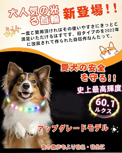 【Amazon.co.jp限定】BaoCheng 光る首輪【LED輝度增加83%】犬 散歩 ライト 小型犬 中型犬 大型犬 ペット用品 サイズトリミング可能(35cm) 中間 画像