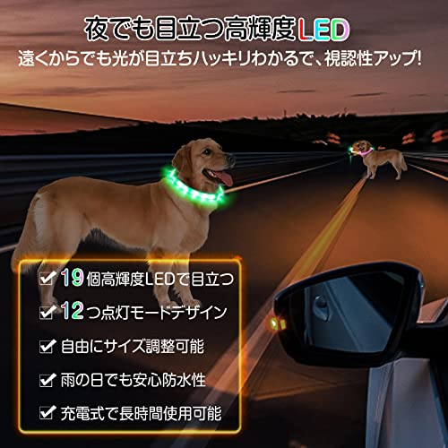 Sazuik 犬 光る首輪 12つ発光モード 多色発光 ペット LED首輪 USB充電式 サイズ調整可能 装着簡単 柔らかい 犬 猫 夜散歩ライト 軽量 安全対策 視認性 小型・中型・ 大型犬 (ホワイト) 中間 画像