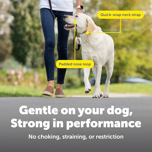 PetSafe Gentle Leader 引っ張り不要 犬用ヘッドカラー - 引っ張る究極のソリューション - 犬の引っ張りをリダイレクトして散歩を楽に - コントロールを取り戻すのに役立ちます - M チャコール 中間 画像