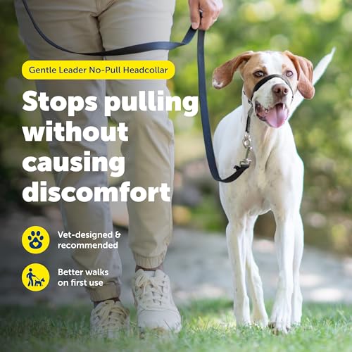 PetSafe Gentle Leader 引っ張り不要 犬用ヘッドカラー - 引っ張る究極のソリューション - 犬の引っ張りをリダイレクトして散歩を楽に - コントロールを取り戻すのに役立ちます - M チャコール 最後 画像