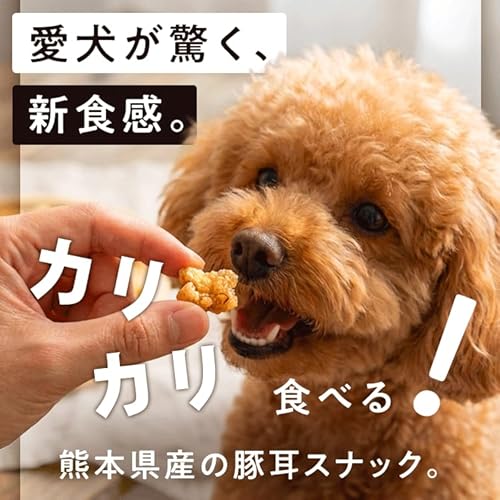 Laki ラキ 熊本県産 国産 無添加 犬 おやつ さくさく 豚耳 キューブ ぶたみみ 日本製 スナック ペットフード 大型犬 中型犬 小型犬 40g×2袋 中間 画像