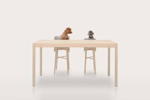 f&f ペットダイニングチェアー Sサイズ ライトグレーの特徴・詳細 画像