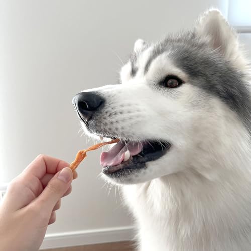 ペティオ (Petio) 素材そのまま 完全無添加 チキンアキレス ハード 110g (鶏すじ100%使用)の特徴・詳細 画像