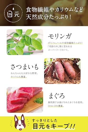 コノコトトモニ このこのごはん ドッグフード 犬の餌 全犬種 全年齢対応 [ 国産 無添加 厳選自然素材/公式限定商品冊子付き ] ペットフード ドライ ドックフード 小型/中型/大型犬 子犬 シニア 小麦グルテンフリー 1kg このこの御飯 (1袋)の特徴・詳細 画像