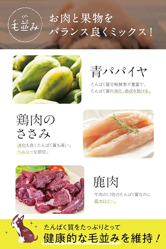 コノコトトモニ このこのごはん ドッグフード 犬の餌 全犬種 全年齢対応 [ 国産 無添加 厳選自然素材/公式限定商品冊子付き ] ペットフード ドライ ドックフード 小型/中型/大型犬 子犬 シニア 小麦グルテンフリー 1kg このこの御飯 (1袋)の特徴・詳細 画像