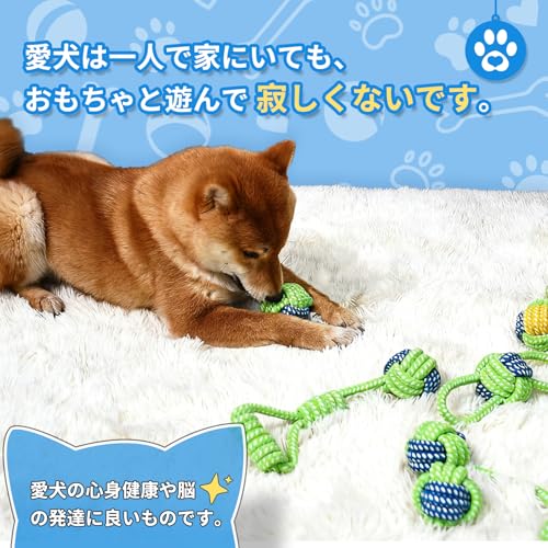 Byarei 5 個セット 犬ロープおもちゃ 犬おもちゃ 犬用玩具 噛むおもちゃ ペット用 コットン ストレス解消 丈夫 耐久性 清潔 歯磨き 犬 おもちゃ ロープ 噛む 小/中型犬に適用の特徴・詳細 画像