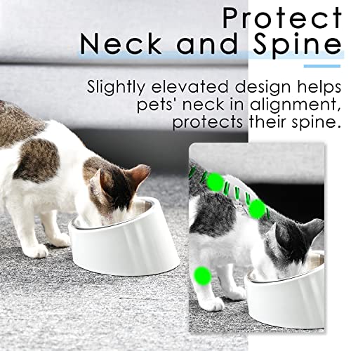 SuperDesign 犬 食器 猫 ペット ボウル ステンレス 給食器 傾斜がある 15度 食事をより気軽に メラミン製スタンド付き 滑り止め 取り外し可能 洗いやすい 食器洗濯機で洗える *特に注意:ThinkPet Japanは本製品の唯一の認可販売者であり、それ以外の販売者からの購入にはご注意ください。の特徴・詳細 画像