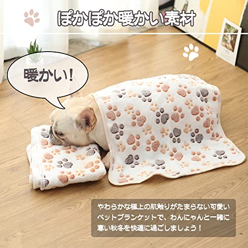 Bidason ペット ブランケット マット 3枚セット 布団 可愛い ひざ掛け スクエア型 リバーシブル ふわふわ ソフト 暖かい サンゴフリース 洗える 多機能 タオル 犬 猫 兼用 毛布 秋 冬の詳細・まとめ 画像