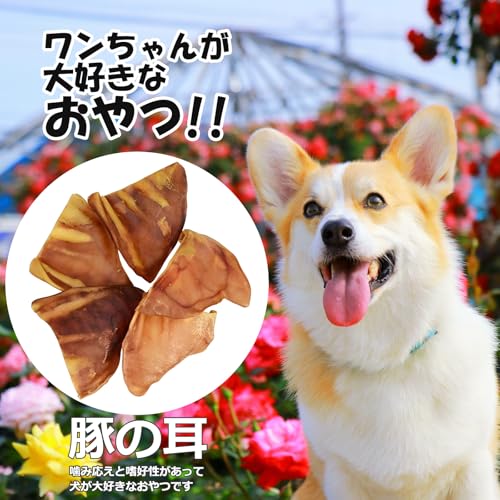 豚耳 犬用 おやつ 10個入り 歯磨き効果 噛むおやつ 犬用ガム ご褒美 ドッグフード補助の詳細・まとめ 画像