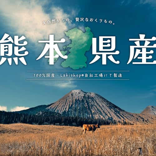 Laki ラキ 熊本県産 無添加 国産 犬 おやつ さくさく 小粒 牛ラング 牛肺 フワ ペット おやつ 無着色 軽い 手で割れる (小粒キューブ 40g)の詳細・まとめ 画像