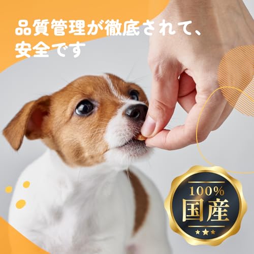 iPaw 犬 おやつ ターキーアキレス ロングタイプ 犬のおやつ 七面鳥すじ 犬用ジャーキー アキレススティック デンタルケア しつけ ご褒美 全犬種 全年齢対応 着色料香料不使用 75gの詳細・まとめ 画像