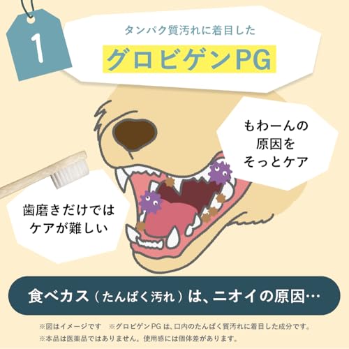 【獣医師監修】 うちのおくちサポート (40g/1袋)サプリメント ペット 犬 猫 無添加 うちのかぞく 国産 無添加 デンタルケア 無添加 デンタルケア 口臭ケア 口腔ケア 歯垢ケア 歯磨き 歯垢除去 デンタルパウダーの特徴・詳細 画像
