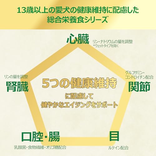 yum yum yum! ヤムヤムヤム ドッグフード ドライ ハイシニア チキン ウェット 80g × 3袋 [ 小型犬 中型犬 大型犬 13歳以上 ] 総合栄養食 国産 シニアの詳細・まとめ 画像