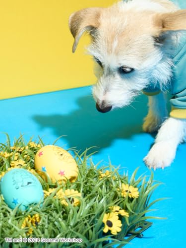 [セサミストリートマーケット] ペットラテックストイ SSMAGG246412 レディース LBLU Free Sizeの特徴・詳細 画像