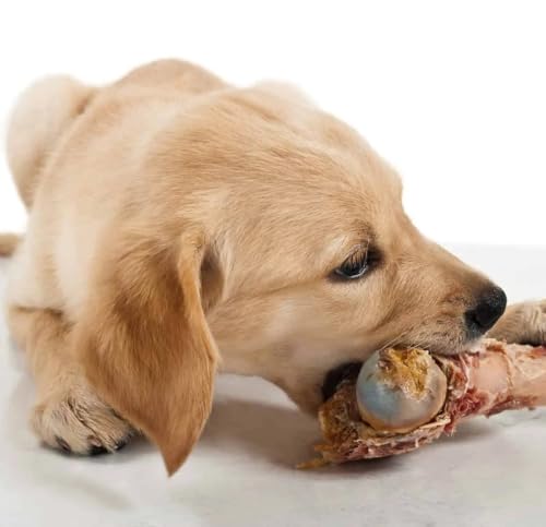 ラムボーンカット６本入 犬のおやつ 大容量600~800g 【国産・無添加】無添加おやつ 犬骨 ラム骨 犬ガム デンタルケア ストレス解消 中型犬 大型犬 ハードタイプの特徴・詳細 画像