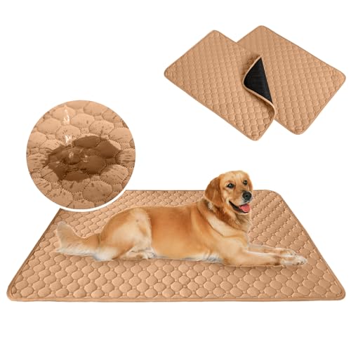 【2枚セット】Dnzzs ペットシーツ 洗える 超吸収 犬 防水マット 四重構造 漏れ防止 おしっこマット 滑り止め加工 速乾 抗菌消臭 介護 猫 丸洗い可能 繰り返し使える 1