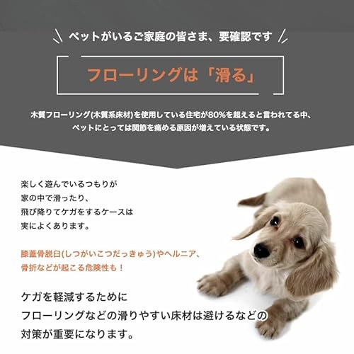 ペットマット 透明 PVC 拭ける 滑り止め 傷防止 床 床暖房対応 犬 大判 撥水 汚れ防止 フローリング 保護マット 廊下マット カット可能 明和グラビア INBT-01 45cm×60cmの特徴・詳細 画像