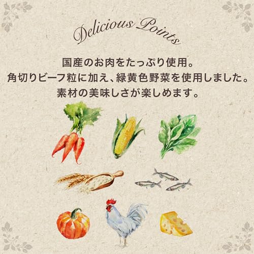 グラン・デリ 【ジャンボパック】グランデリ ドッグフード ソフト ふっくら仕立て ビーフ・鶏ささみ・緑黄色野菜・チーズ入り 2.9kg 国産 ユニチャームの特徴・詳細 画像