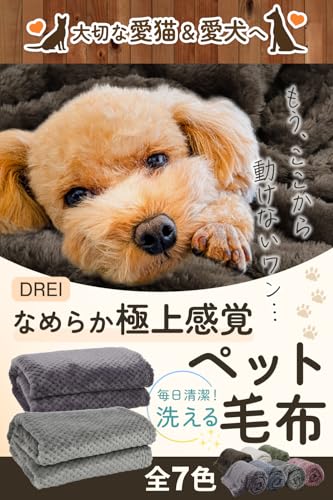 【くつろぎ専用】 ペット毛布 2枚セット 犬 猫 薄手 ブランケット ふわふわ 肌触り なめらか 洗える 速乾 ひざ掛け ケージ 車用 (レッド(2枚), M(60x80cm))の詳細・まとめ 画像