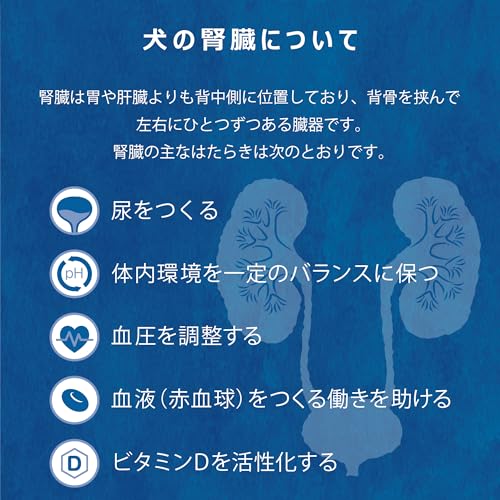 yum yum yum! ヤムヤムヤム ドッグフード ウェット 健康マネジメント腎臓 ジュレタイプ チキン 30g × 12袋 まとめ買い [ 小型犬 中型犬 大型犬 ] 腎臓 国産 無添加の特徴・詳細 画像