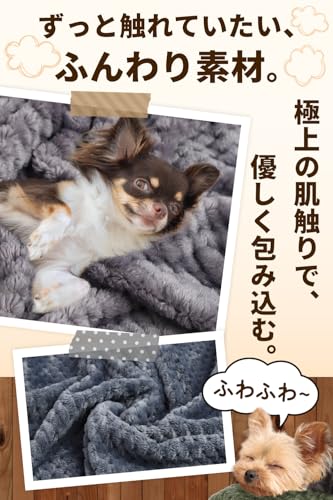 【くつろぎ専用】 ペット毛布 2枚セット 犬 猫 薄手 ブランケット ふわふわ 肌触り なめらか 洗える 速乾 ひざ掛け ケージ 車用 (レッド(2枚), M(60x80cm))の特徴・詳細 画像