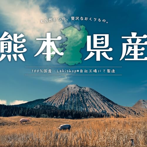 Laki ラキ 熊本県産 無添加 国産 さくさく 豚ラング 豚肺 フワ 犬 ペット おやつ 無着色 軽い 手で割れる (小粒キューブ 40g)の詳細・まとめ 画像