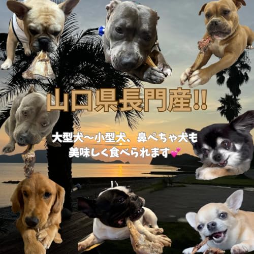 【国産 鹿肉ジャーキー】 BOOOCHI ぶーち 犬のおやつ 鹿 スペアリブ 鹿骨 中型犬 大型犬 骨 山口県産 歯磨きガム 代用品としても チャック付き / 約40gの特徴・詳細 画像