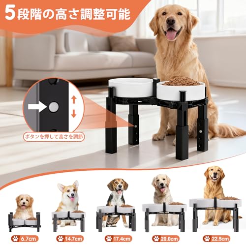 Aystkniet 犬用食器スタンド ダブル 高さ5段階調節（14.7～22.5cm）全犬種対応 中型犬〜大型犬・シニア犬に 滑り止め三脚＋防傾倒設計 静音ストリップ付き 丈夫でお手入れ簡単（ABS樹脂ダブル）※食器（ボウル）別売の特徴・詳細 画像