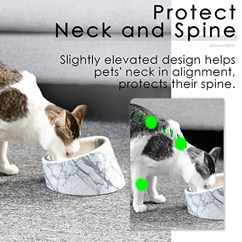 SuperDesign 犬 食器 猫 食器 ペット ボウル ステンレス 給食器 スタンド 傾斜がある 15度 食事をより気軽に メラミン製スタンド付き 滑り止め 取り外し可能 洗いやすい 食器洗濯機で洗えるの特徴・詳細 画像