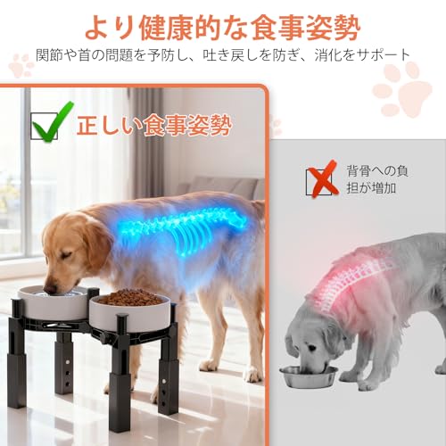 Aystkniet 犬用食器スタンド ダブル 高さ5段階調節（14.7～22.5cm）全犬種対応 中型犬〜大型犬・シニア犬に 滑り止め三脚＋防傾倒設計 静音ストリップ付き 丈夫でお手入れ簡単（ABS樹脂ダブル）※食器（ボウル）別売の特徴・詳細 画像
