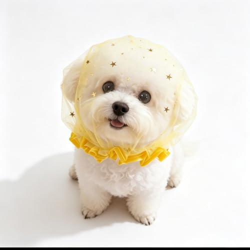 Bornoon 犬用 メッシュ 犬 口輪 カバー ネット スター柄 拾い食い防止 ネット メッシュ 舐め防止 ペット用品 誤飲防止 柔らかい 通气性 汚れ防止 誤食防止 安全 かわいい 小型犬用 (ゴールド) 1