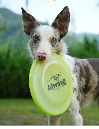 (リトルシング) Little Thing 蛍光 夜光る スイカ 競技訓練用 ディスク フリスビー 23.5cm 24cm 全3色 (オレンジ, 24cm)の特徴・詳細 画像