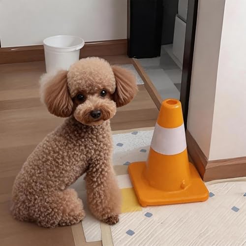 SLLSAGE 犬用トレーニングコーン トイレトレーニング マーカーコーン 室内・屋外兼用 PVC製 ペット用品 犬 トイレエリア目印 (イエロー)の詳細・まとめ 画像