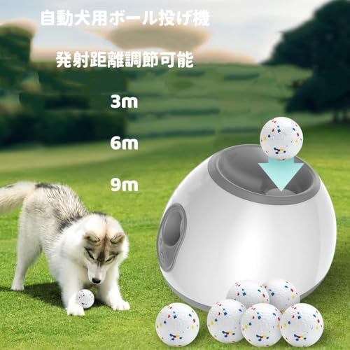 犬 ボール 自動 犬 おもちゃ ボール おもちゃ 自動ボールランチャー 屋内 屋外 自動犬用ボール発射機 軽量・携帯簡単、小型犬と中型犬用のおもちゃ 運動不足解消に (グレー)の特徴・詳細 画像