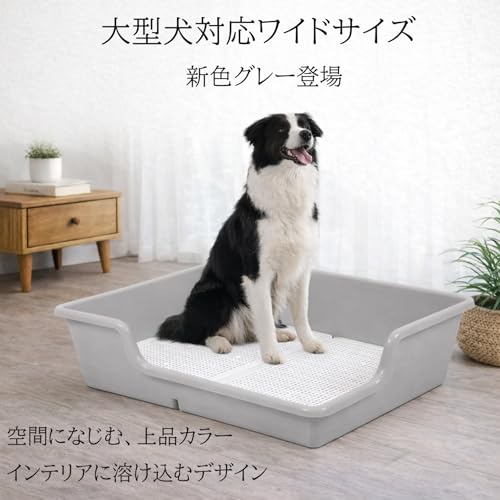 DogLife 犬 トイレ トレー 大型犬 特大 スーパー ワイド (グレー, 取替メッシュ付)の詳細・まとめ 画像