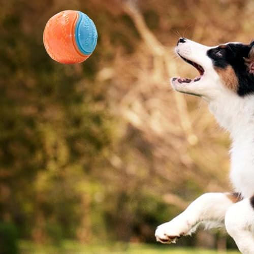 Training Ball For Dogs – 3pcs Squeaky Dog Toys For Small, Dog Chew Toy Indestructible Squeaky Cleaning Toy Durable Interactive Toys Aggressive Chewing Puppies Dogs Pets Prevention Of Teeth Problemsの特徴・詳細 画像