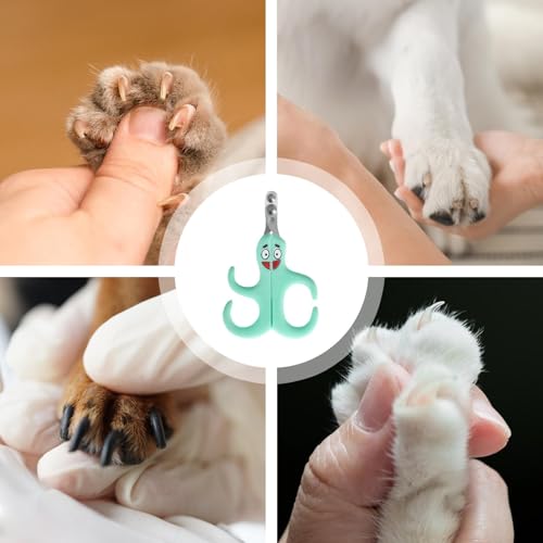 ペット用爪切り、犬用爪切り - 犬用爪切りネイルトリマー 子犬の爪やすり | 子犬の爪切りモルモット、猫、犬用の安全でプロフェッショナルなペット爪トリマー足の爪切りの特徴・詳細 画像