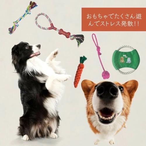 犬 おもちゃ 10点セット セット 玩具 ぬいぐるみ ロープ 知育玩具 ノーズワーク ボール 引っ張り 大容量 縄 デンタルケア ストレス 発散 ペット 遊び お得の特徴・詳細 画像