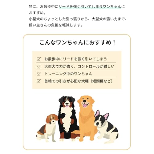 引っ張り防止 ヘッドカラー ジェントルリーダー S M L XL 小型犬 中型犬 大型犬 トレーニング 問題行動 拾い食い 飛びつき マズル装着 コントロール 散歩 便利アイテム トレーニンググッズ 安全 安心 おしゃれ HiDREAM HD029013 (Lサイズ)の特徴・詳細 画像