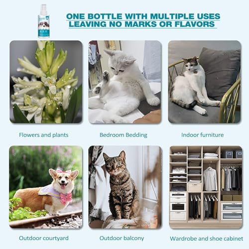 猫用ビタースプレー 犬 猫 獣いやがるスプレー 100ml 猫犬用噛まない 抑止剤 強力な苦味 傷防止家具プロテクター 長時間持続 立ち入り禁止 トレーニング補助剤 植物 床 カーペットの保護 境界の確立 家具 ソファ 敷物 カーテンの防御の特徴・詳細 画像