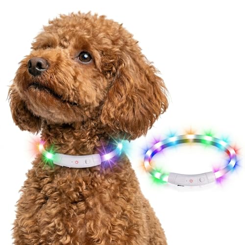 【光る首輪 】LEDライト付き 犬用｜小型犬・中型犬対応 ペット散歩用 安全発光首輪｜軽量・USB充電式・防水｜長さ調整可能で大型犬もOK｜夜間の視認性アップで安心お散歩グッズ 1