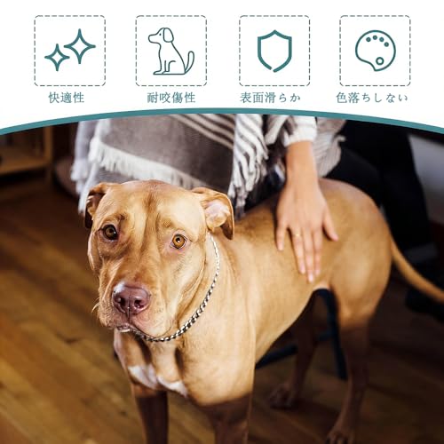 Phyxiul 犬用首輪 チェーンカラー 噛み切れ防止 調整可能チェーンカラー 訓練 中大型犬用 散歩 しつけ用（3mm*55cm）の特徴・詳細 画像