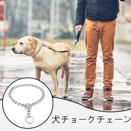 Doyime ﻿犬用首輪 犬チョークチェーン 首輪チョークカラー 中大型犬用 肌を傷つけない 耐久性に優れ 結び目を防ぐ 散歩やトレーニングに適しています 3MM*55CMの詳細・まとめ 画像
