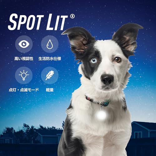 ナイトアイズ(NITEIZE) スポットリット ホワイト 犬 お散歩 ペンダントライト 防水 夜間 安全 ウォーキングの詳細・まとめ 画像