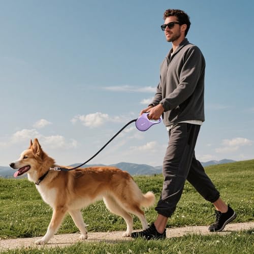 犬 リード 伸縮 ロングリード 長さ5m 自動巻き ストラップ付き リフレクター 小・中型犬用 [長さ:5m 適応体重30kg] (パープル, M)の特徴・詳細 画像