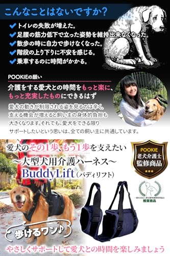 【老犬介護士監修】 大型犬 歩行補助 ハーネス 老犬 介護 犬 お散歩 胴体用 バディリフト (Lサイズ)の詳細・まとめ 画像
