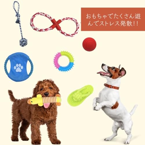 犬 おもちゃ 12点セット セット 玩具 ぬいぐるみ ロープ 知育玩具 ノーズワーク ボール 引っ張り 大容量 縄 デンタルケア ストレス 発散 ペット ペット用品 遊びの特徴・詳細 画像